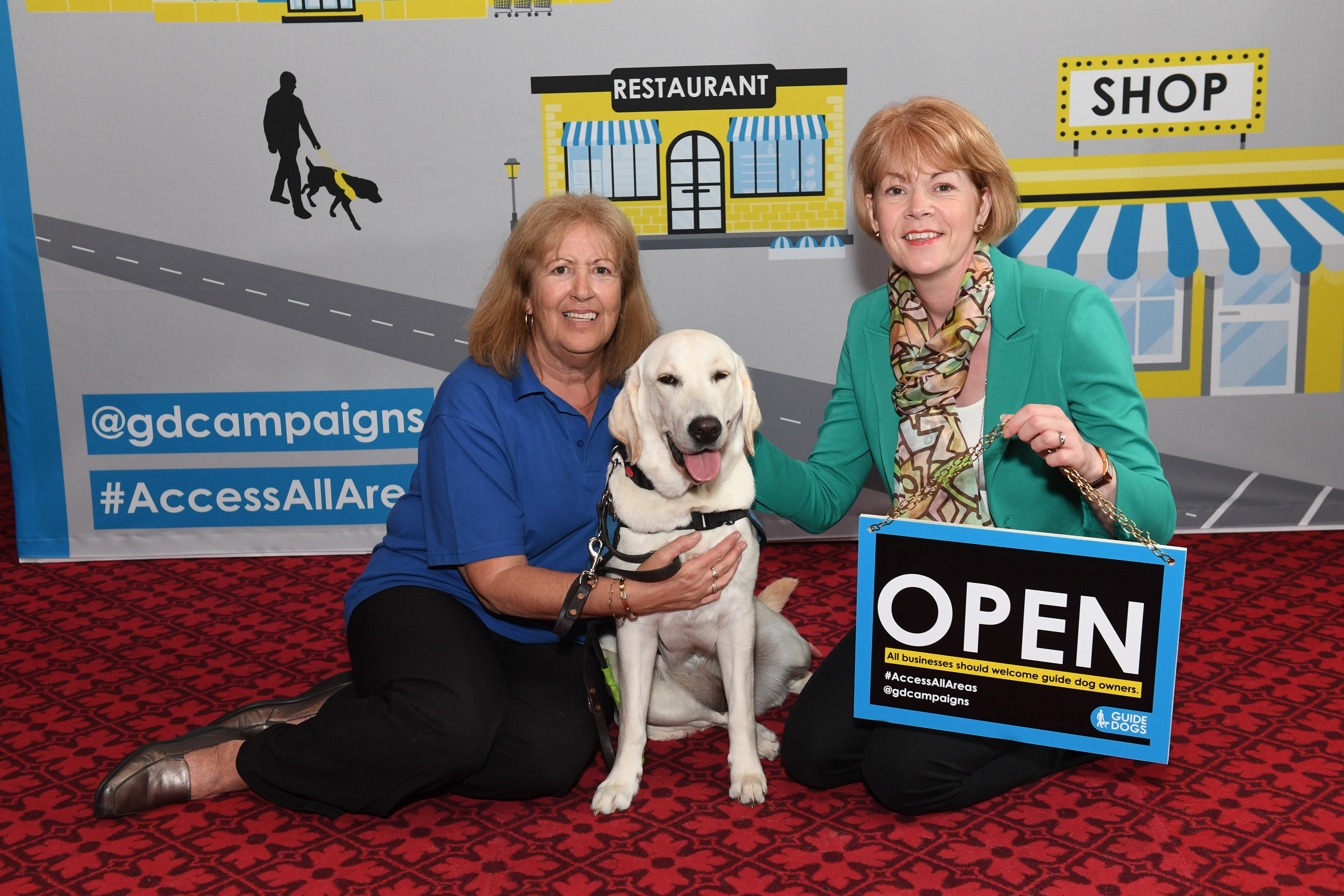 Helping stamp out Discrimination against Guide Dog Owners!