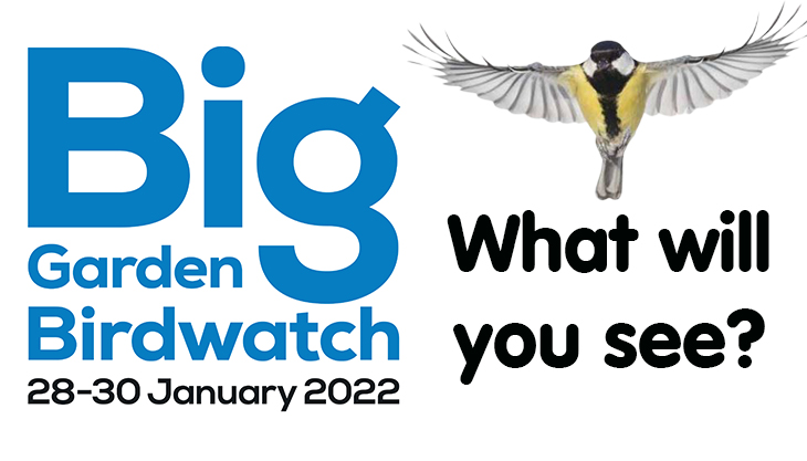 Big Garden Bird Watch 2022