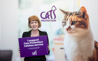 Cats Protection in Parliament