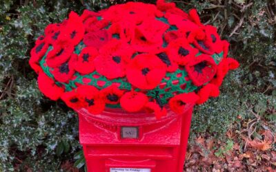 Poppies on the Postbox!