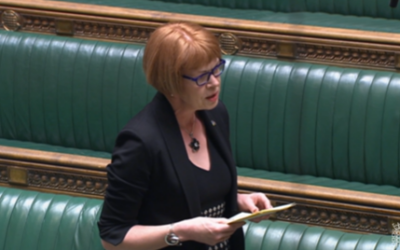 the 431st female Member of Parliament and the first female MP for Aldridge-Brownhills