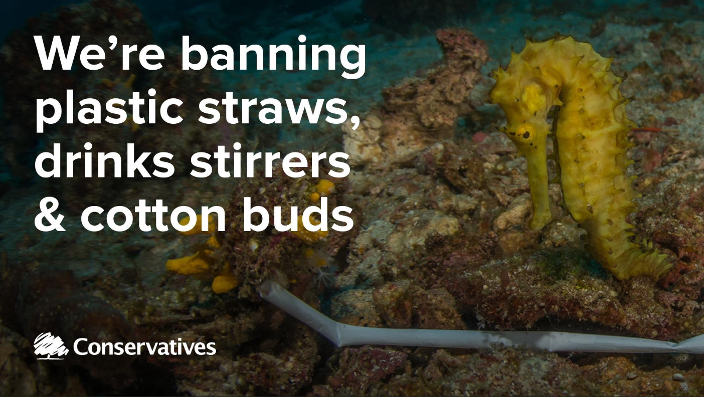 A Ban on Plastic Straws, Drink Stirrers and Cotton Buds to protect our Environment!