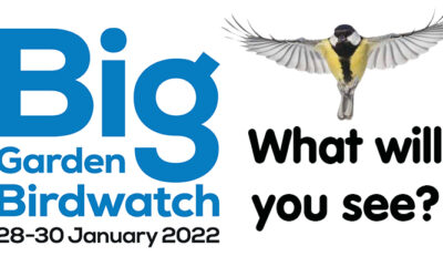 Big Garden Bird Watch 2022