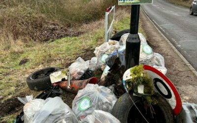 Pelsall Litter Pick