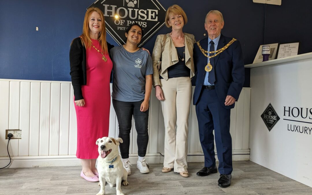 House of Paws, Walsall Wood